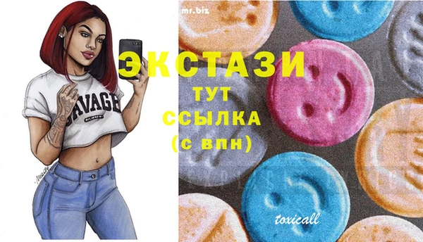 сатива Лабытнанги