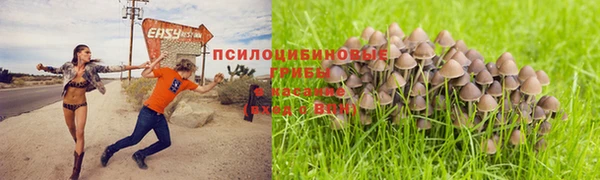прущая мука Куйбышев