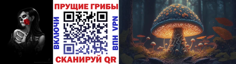 Галлюциногенные грибы Psilocybe  Купить где  Надым 